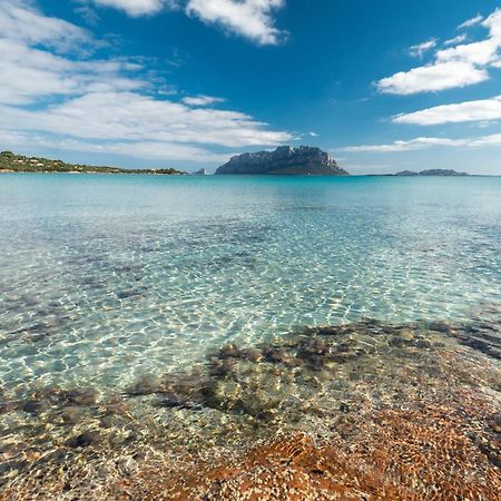 Villa Majra - Klodge Olbia Exteriér fotografie