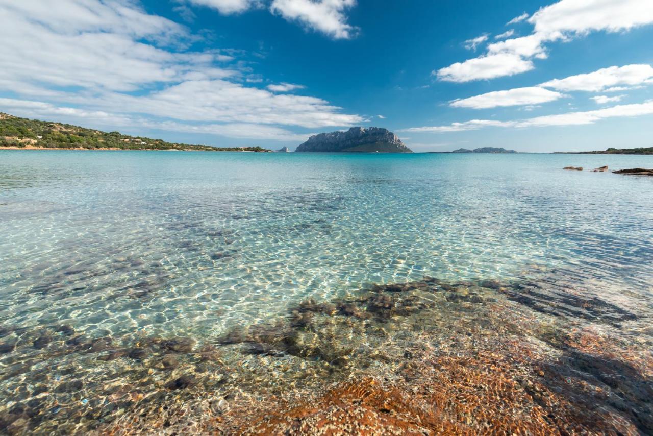 Villa Majra - Klodge Olbia Exteriér fotografie